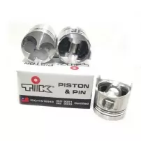 Pistones 020 Chev. V-6 M:231     T 78/81