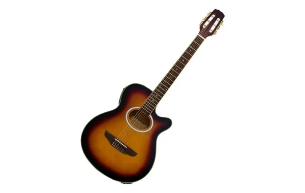 Guitarra Electroacústica Freeman Fra95ncet Cuerda Nylon