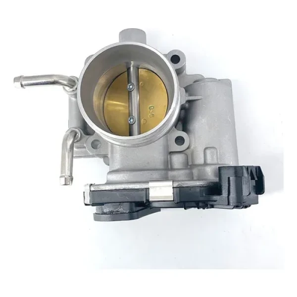 Cuerpo Aceleracion Chevr Sail 1.4 11/17 Dcroer