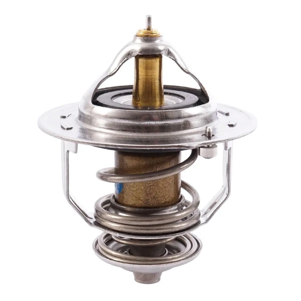 Termostato para hyundai santa fe