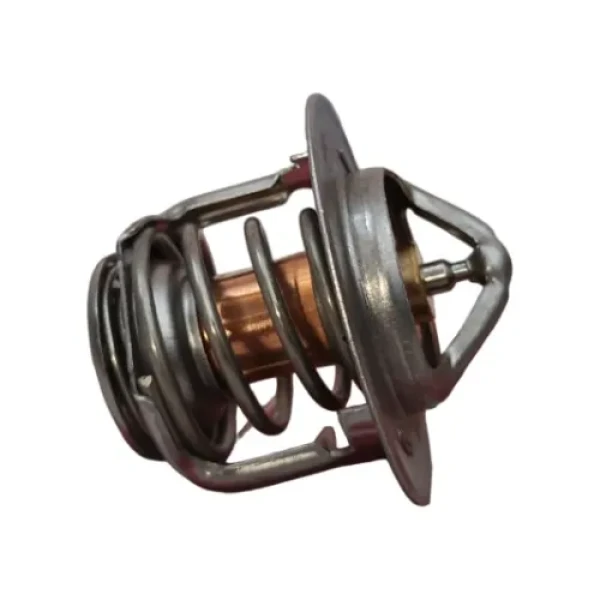 Termostato Para Jmc Boarding