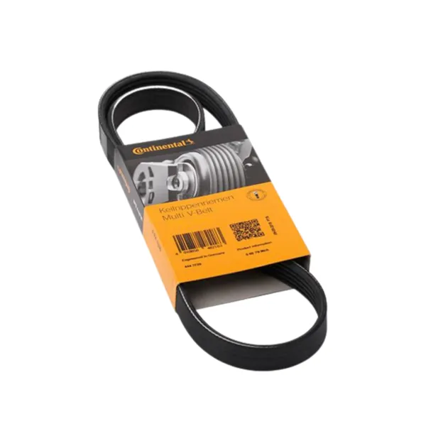 Correas De Accesorios Para Universal Universal